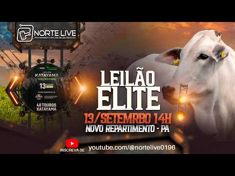 LEILÃO ELITE  KATAYAMA EDIÇÕES PARÁ - NOVO REPARTIMENTO PA
