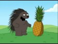 Porcupine meeting a pineapple