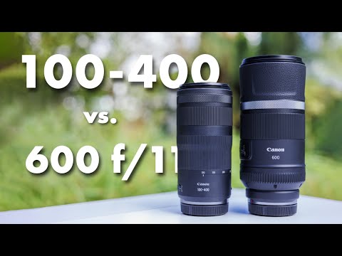 Bestes Einsteiger-Teleobjektiv / Canon RF 600 f/11 vs. RF 100-400