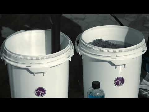 nanolex cleaner shampoos