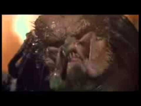 Predator,,,,, Laugh