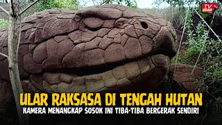 Download lagu WARGA PANIK‼️ Rekaman Ular Raksasa yang Menjadi Batu Ini Tampak Bergerak dan Mengeluarkan Suara Aneh mp3