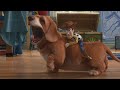 Toy Story 3 Melhores Momentos