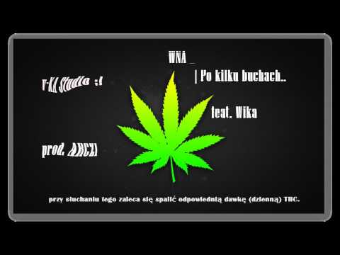 WNA - Po kilku buchach feat. Wika