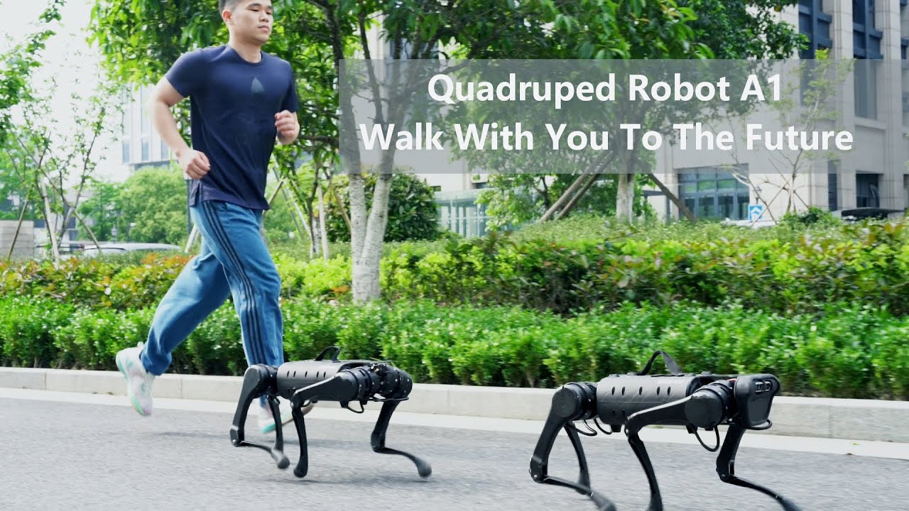 Quadruped robot A1 walk with you to the future - YouTube