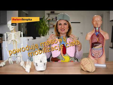 Jak radzić sobie ze stresem? Warsztaty dla uczniów #wiemikropka