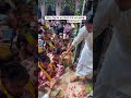 Radha Gori Gori ️ Bankebihari Trending Radheradhe Shorts Foryou Vrindavan Viralvideo Radha