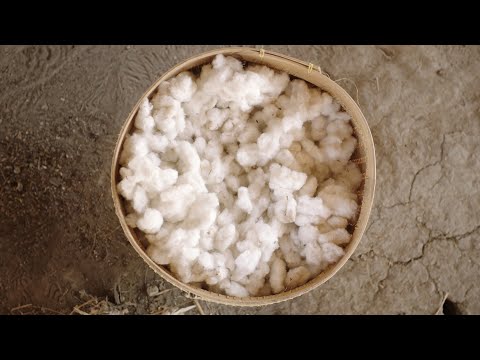 Rolex Awards – Denica Riadini-Flesch – Ep. 2: The Earth’s Rhythm