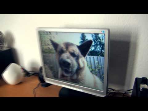 Have a Look in Rotterdams flat which he shares with DeMusLiM  in Cologne