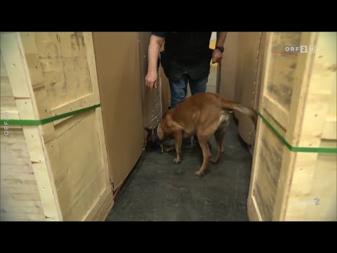 Marianne Jäger - Spürhunde für Bettwanzen