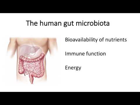 Alzheimer's Disease and the Gut Microbiome
