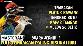 Download lagu TEMBAKAN PLATUK BAWANG, TENGKEK BUTO, DAN KAPAS TEMBAK || MASTERAN TEMBAKAN PALING DISUKAI JURI !! mp3