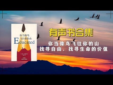 《你当像鸟飞往你的山》有声书合集（上）【中文字幕】作者：塔拉&middot;韦斯特弗