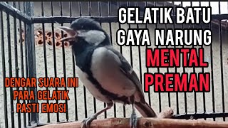 Download lagu Gelatik Batu Mental Preman Gaya Narung Denger Suara ini Gelatikmu Pasti Emosi Nyaut mp3 Download lagu Gelatik Batu Mental Preman Gaya Narung Denger Suara ini Gelatikmu Pasti Emosi Nyaut mp3