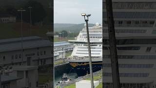 Disney Adventure en el Canal de Panama #panama #cruiseship #disneycruise #disneyadventure