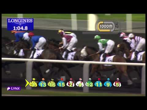 19.01.2013 Meydan (Dubai-UAE) 5.Race Saeed & Mohammed Al Naboodah Group Trophy -  1.900 m