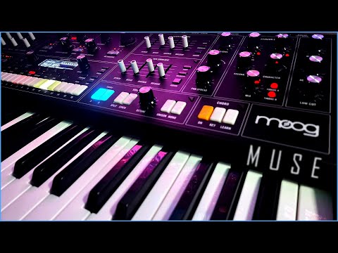 Moog Muse | Is it the best sounding analog poly synth? | Factory Preset Exploration [No Talking]