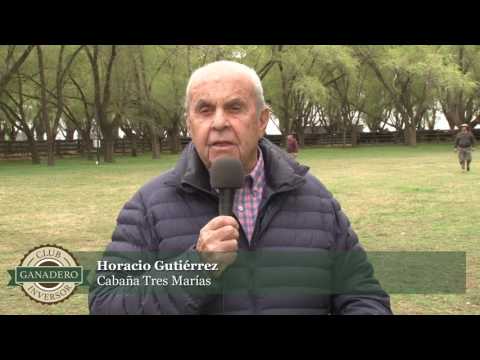 Remate Cabaña Tres Marías