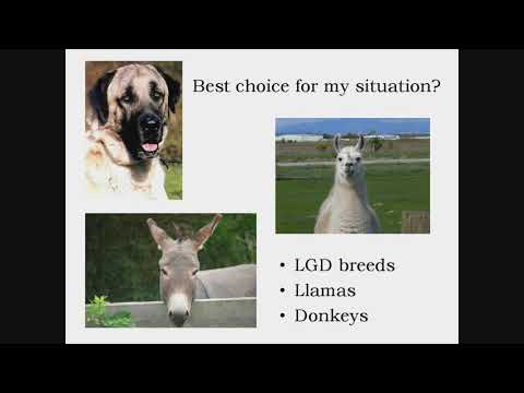 , title : 'Livestock Guardian Animal Overview - Llamas, Donkeys and Dogs (Part 1)'