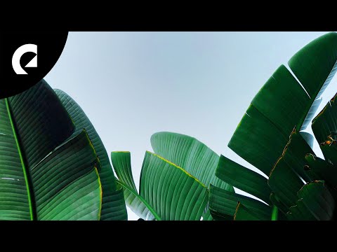 Clara Mendes - O Tempo de Deus (Royalty Free Music)