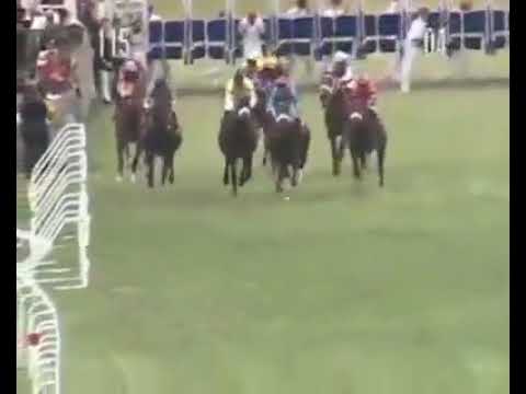 Hinterland in record time in the Barbe Cup