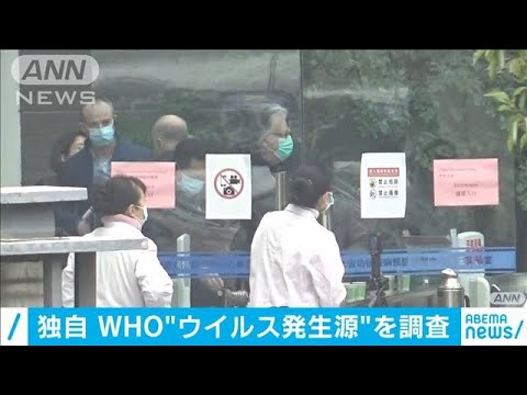 コロナウイルス:感染した動物の死骸が問題を引き起こしている