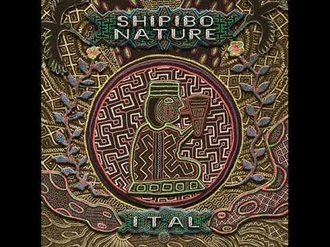 Ital vs Spectra Sonics - Onanya