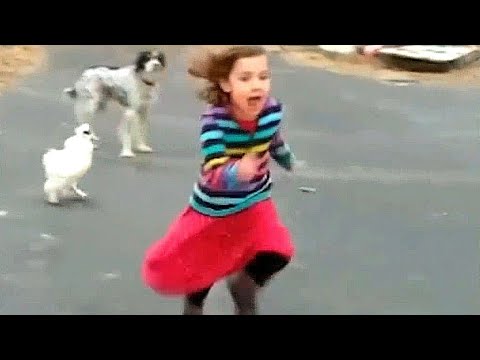 Comical moments 😄 try not to laugh 😄 you'll die laughing 😄 cool, funny moments 😄 read the descrip...