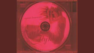 Fly high (Acoustic Orchestra Version)