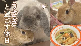 うさぎと過ごす休日｜ゆるい日常Vlog