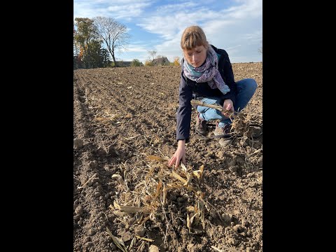 Feldexkursion 208: Worauf vor dem Winter achten - N.U. Agrar GmbH, 02.11.2021