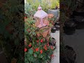 Silent Spring Garden Walkthrough 🌿🌞
