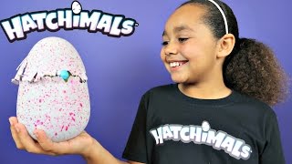 NEW HATCHIMALS MAGICAL SURPRISE EGG OPENING! Kids Toy Review | Toys AndMe