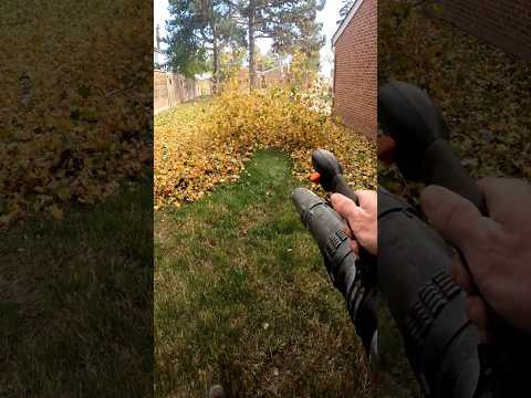 Best leaf blower u can buy! Satisfying 😊