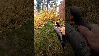 Best leaf blower u can buy! Satisfying 😊