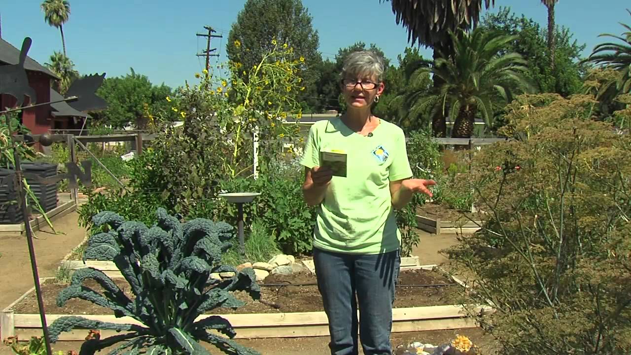 Gardening With Lucy - Fall planting