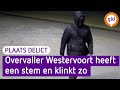 Overvaller BP in Westervoort klinkt zo | Plaats Delict
