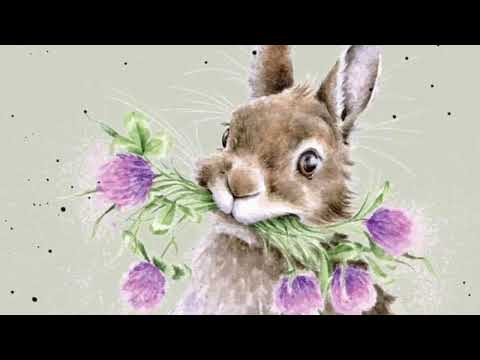 Be Happy 🎶🌈😇💗 - Sea of Lavenders / Mark Hadley