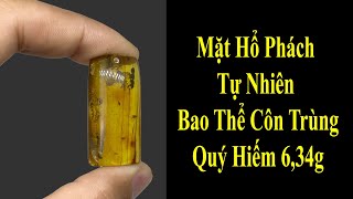 Mặt Hổ Phách Côn Trùng Tự Nhiên Cao Cấp Mặt Dây Chuyền 6,34gram