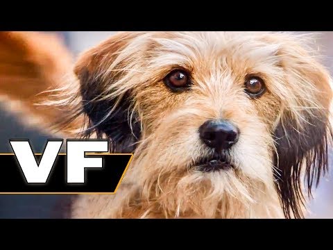 BENJI Bande Annonce VF (Famille, Netflix, 2018)