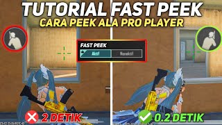Download lagu CARA PEEK & FIRE SEPERTI PRO PLAYER PUBG MOBILE | TIPS PEEK DENGAN CEPAT mp3