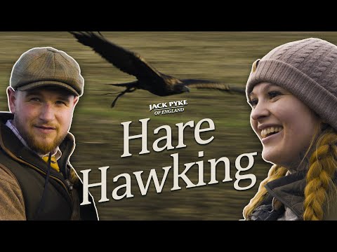 Hare Hawking | Introduction to falconry | Field sweeping, slips, aerial pursuits, training and more!