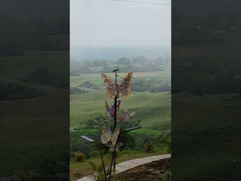 First Time in Finlandia, Quindío.