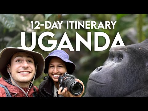 12-Day Itinerary: Uganda Safari (Plan Your Trip↓)