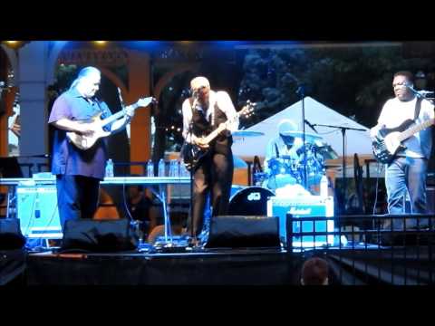 The Kinsey Report Live  @ Griffith Blues Festival July 2016 (Donald Kinsey Solo) 1080 HD