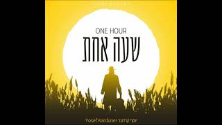 יוסף קרדונר - לב טהור
