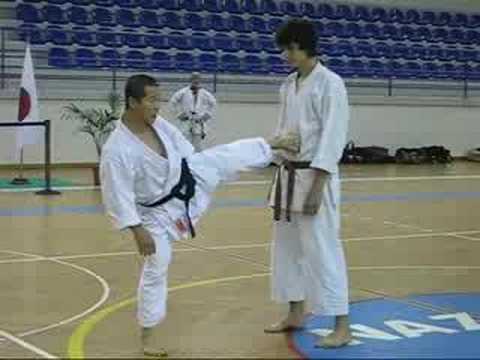 Kagawa-sensei demonstrating maegeri and Yokogeri Kekomi #maegeri #kekomi #yokogeri #karate #kick