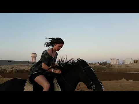 Hasibe - Yarim | Prod. Umut Timur - gallop in hurghada desert