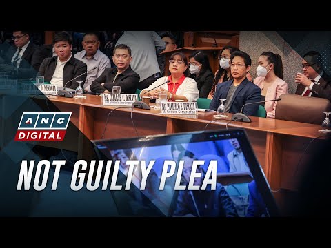Discaya, co-accused enter not guilty plea over allegedly anomalous flood control project | ANC