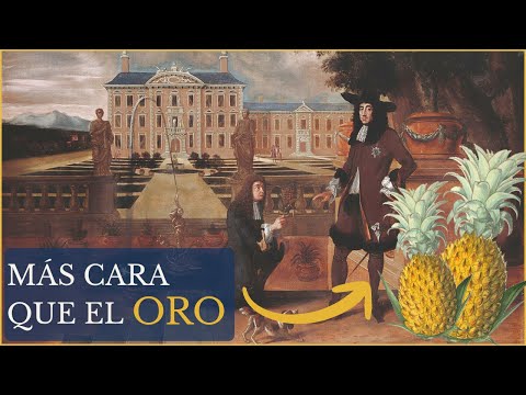 Cuando una fruta valía más que el oro 🤑 | La locura por las piñas 🍍